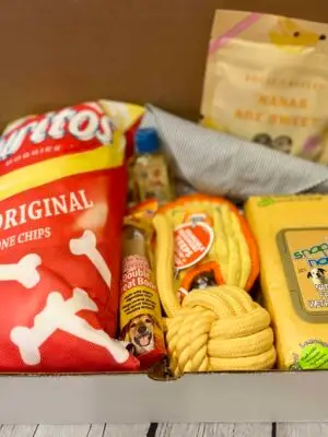 Fur Baby Little Vibes Box