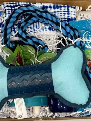 Fur Baby Lush Vibes Box